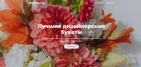 пример готового одностраничного сайта